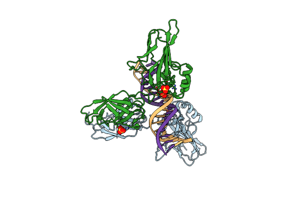 9BDV image