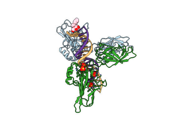 9BDW image