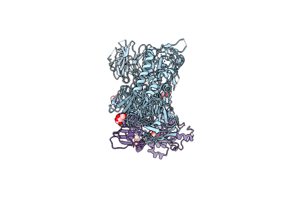 9BFQ image