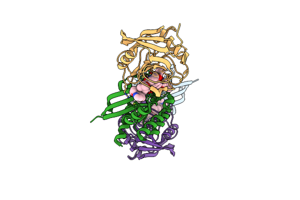 9BFX image