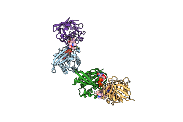 9BG2 image