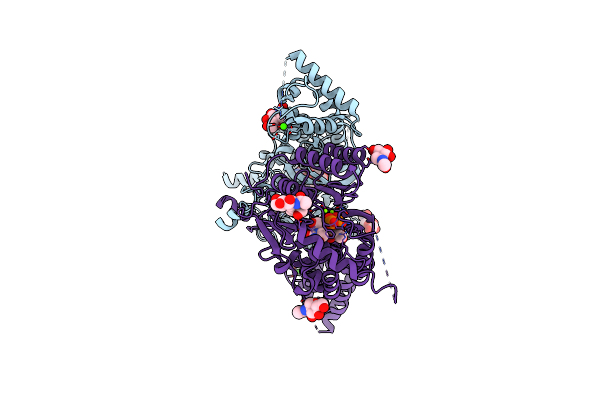 9BGF image