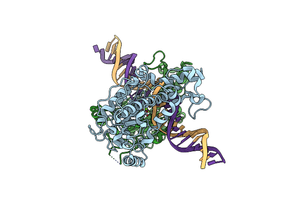 9BGJ image