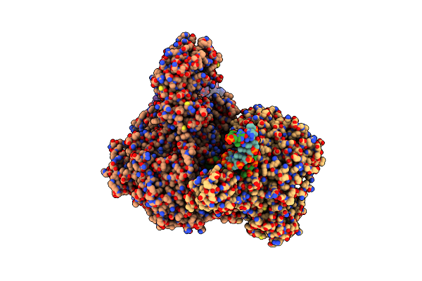 9BGK image