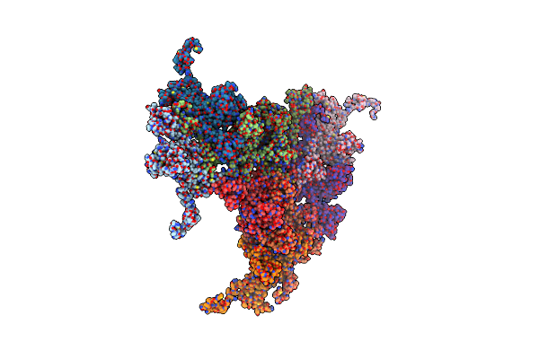 9BGN image