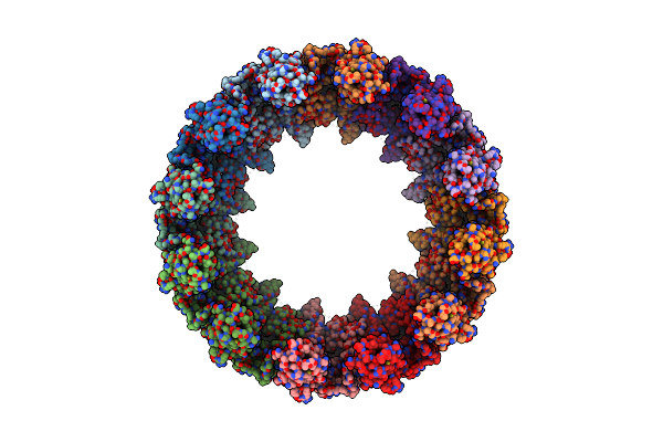 9BGO image