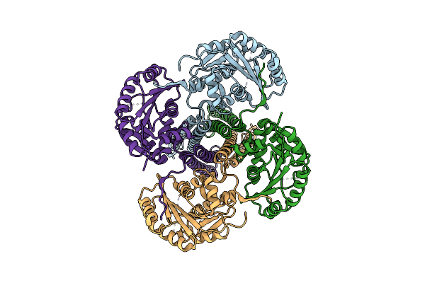 9BHC image