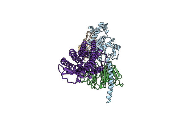 9BHL image