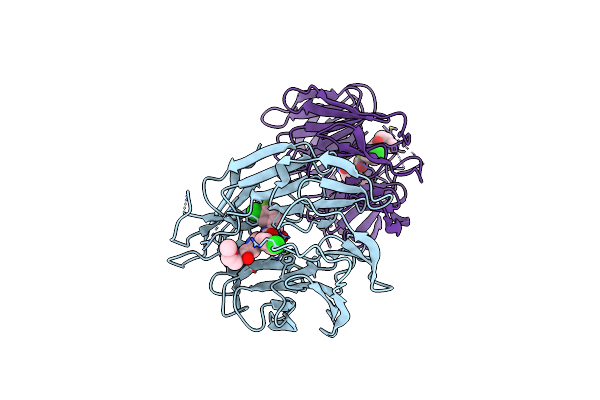 9BHR image