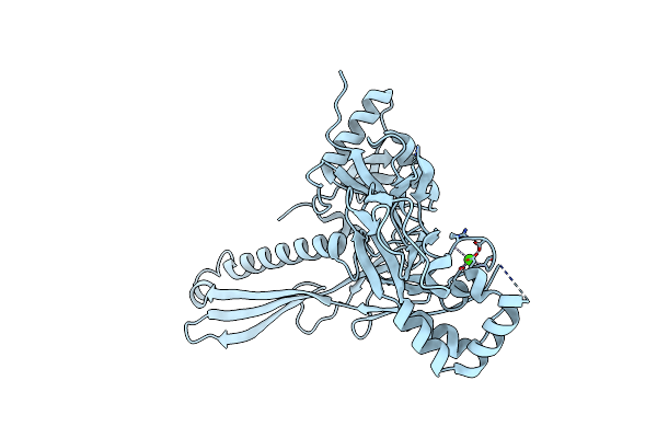 9BHV image