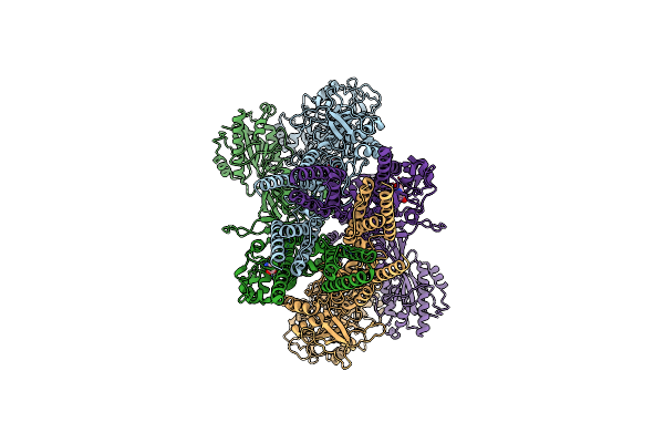 9BIB image