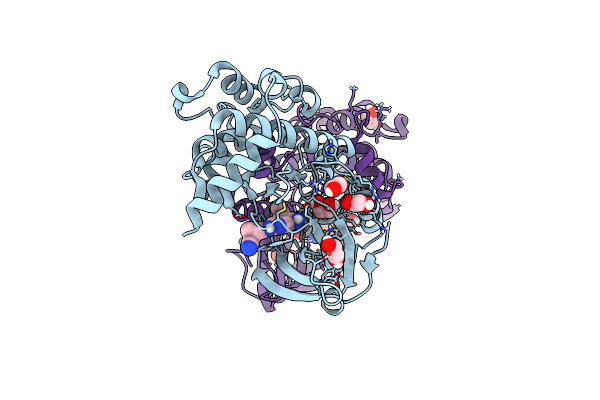 9BIK image