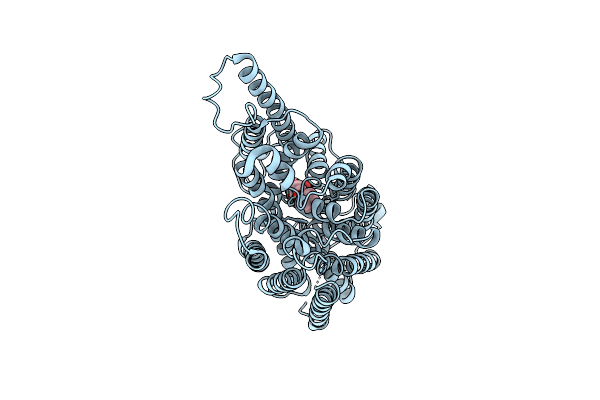 9BIM image