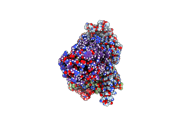 9BIP image