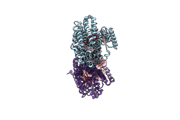 9BIQ image