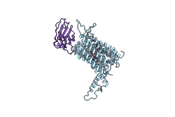 9BIS image