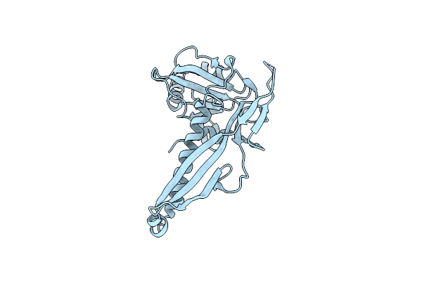 9BIX image