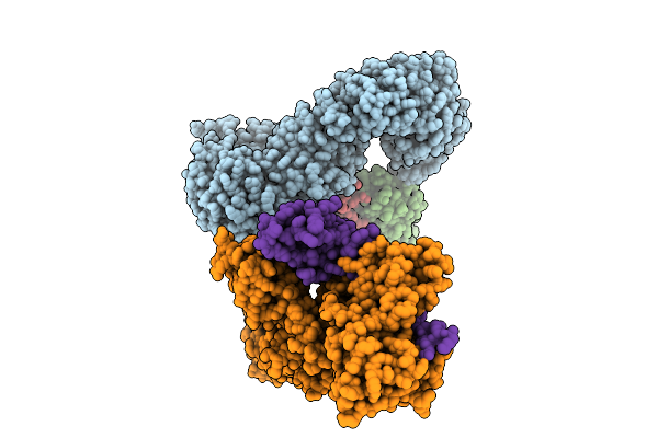 9BJ8 image