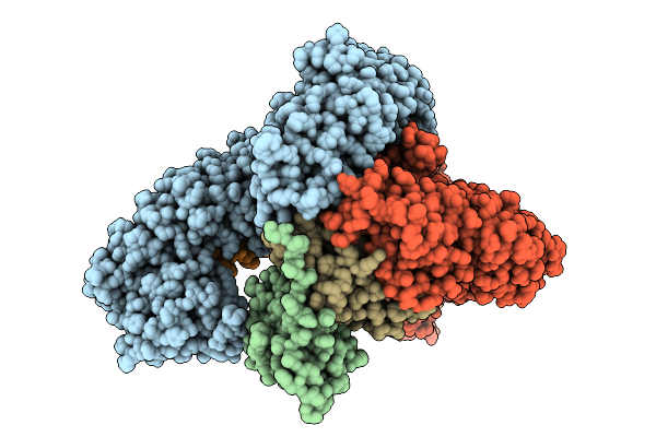 9BJ9 image