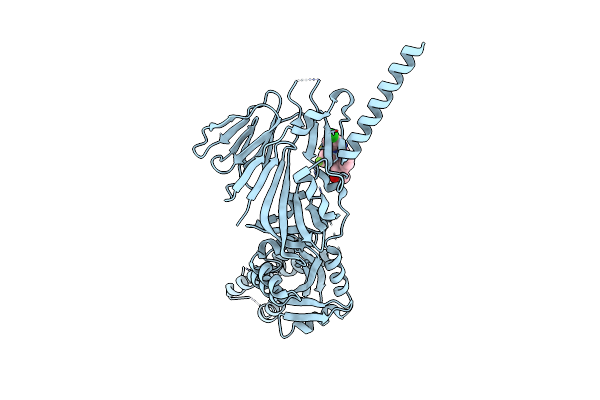 9BJM image