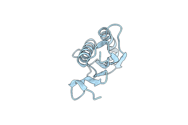 9BJV image