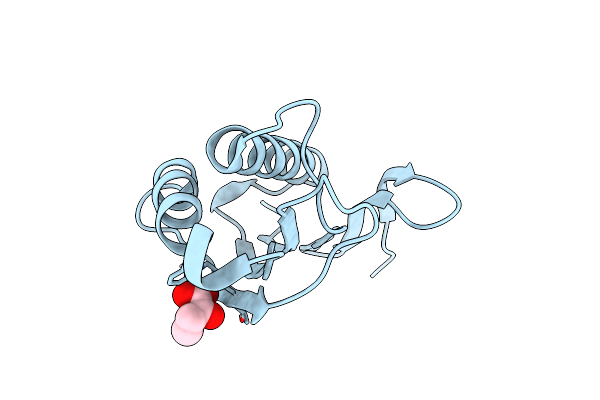 9BK8 image