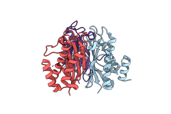 9BKB image