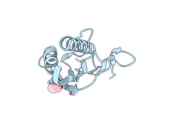 9BKH image