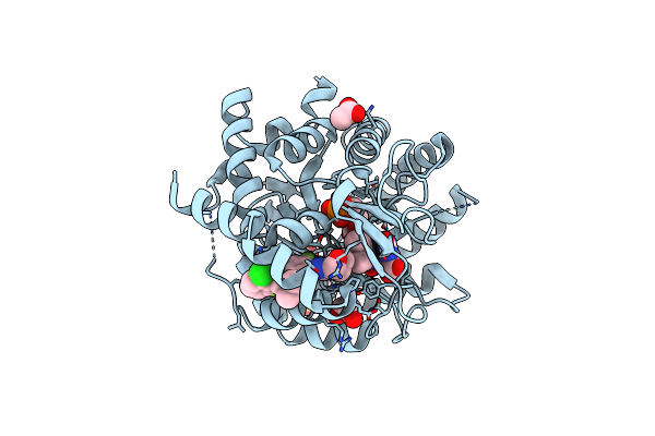 9BKM image