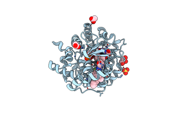 9BKN image