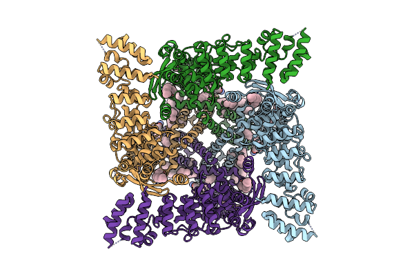 9BKU image