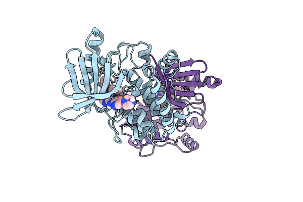 9BLH image