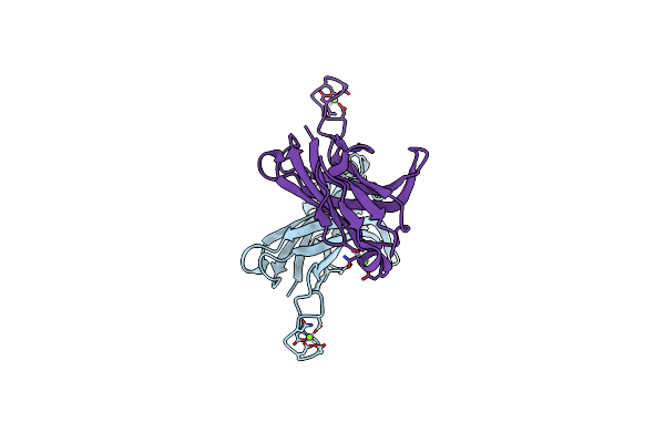 9BLO image
