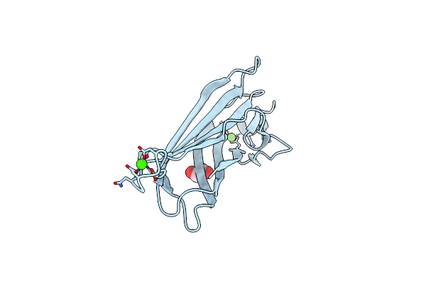 9BLP image