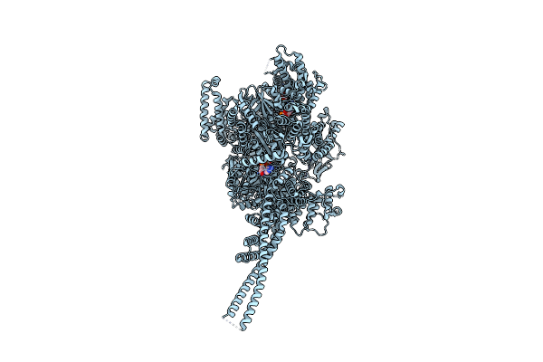 9BM1 image