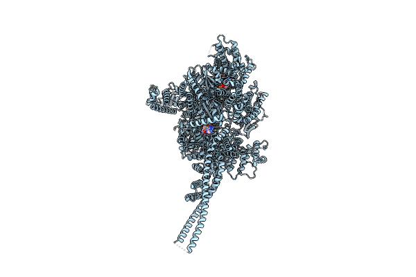 9BM2 image