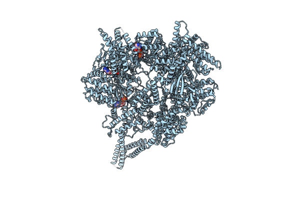 9BM3 image