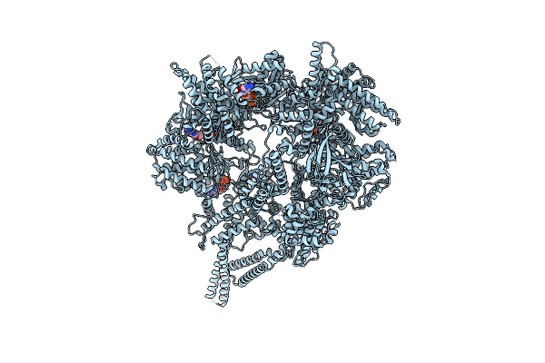 9BM5 image