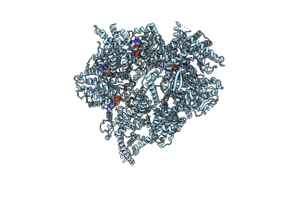 9BM6 image