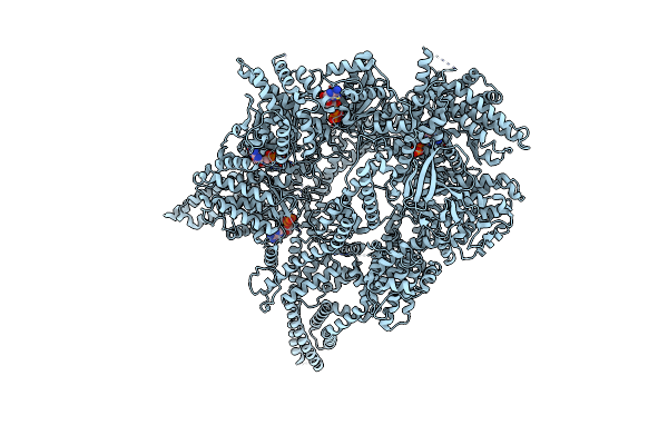 9BM8 image