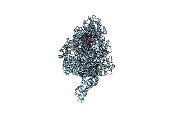 9BMB image