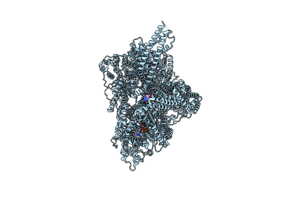 9BMD image