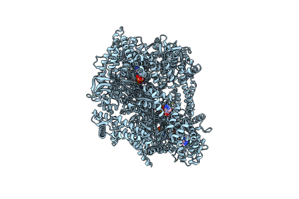 9BMF image