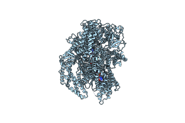 9BMG image