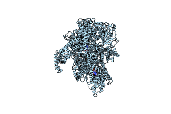 9BMH image