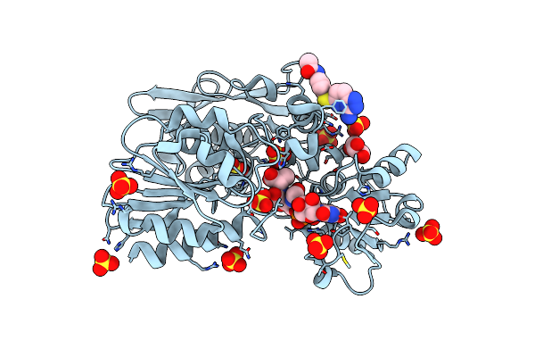 9BN8 image