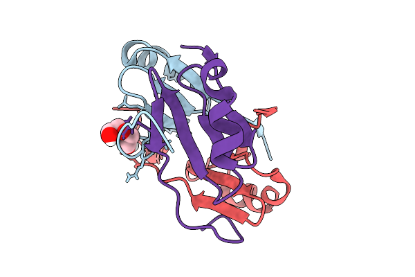 9BNC image