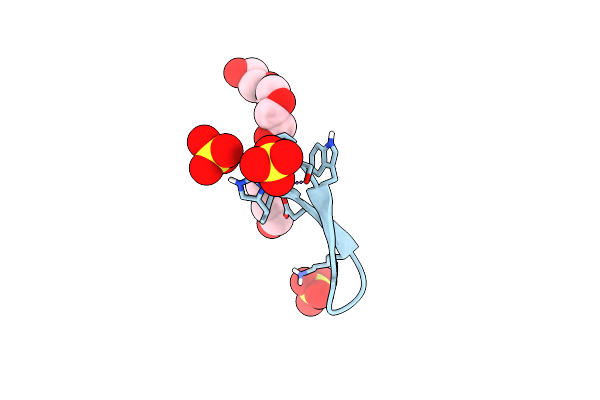 9BNI image