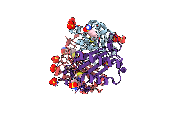 9BNR image
