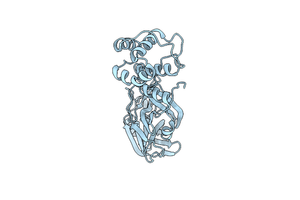 9BNT image